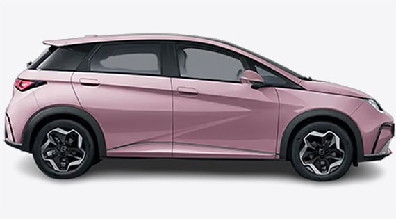 2025 BYD Dolphin Premium