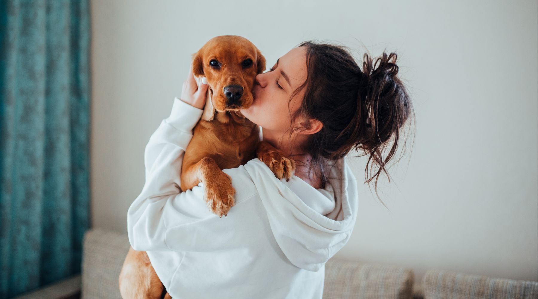 Pet Insurance for Dogs