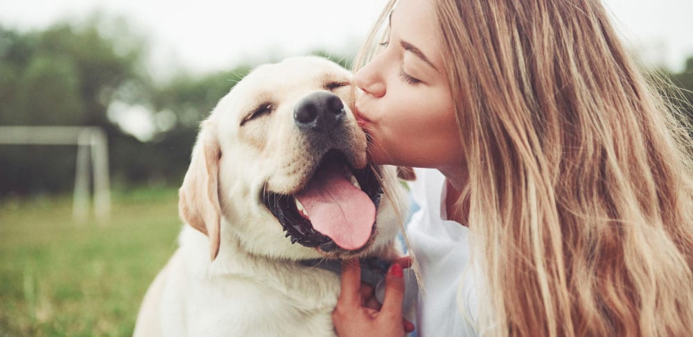 Compare Pet Insurance