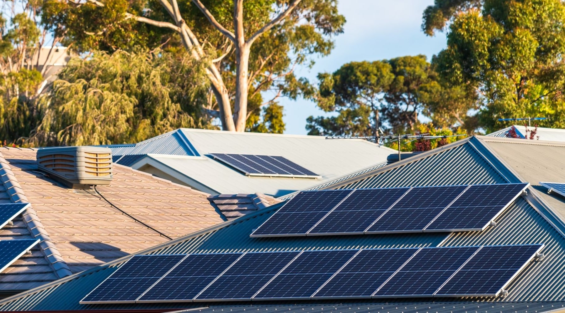 Three Australian houses with rooftop solar panels with gum trees in the background.
